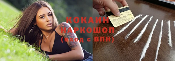 хмурый Алексин