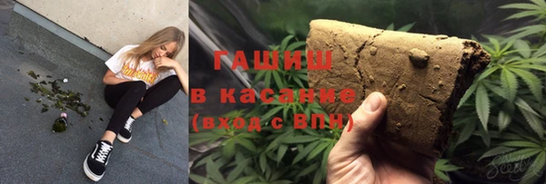 стаф Алзамай
