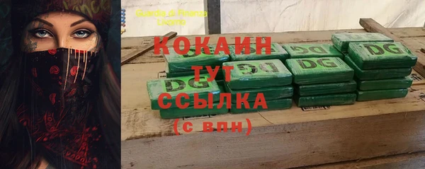 хмурый Алексин