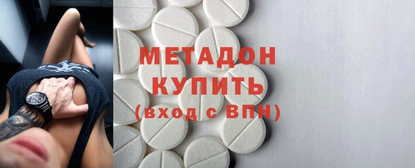 стаф Алзамай