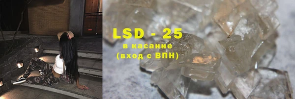 стаф Алзамай
