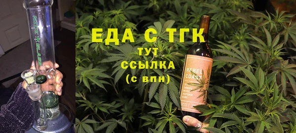 хмурый Алексин