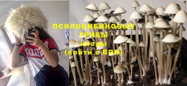 хмурый Алексин