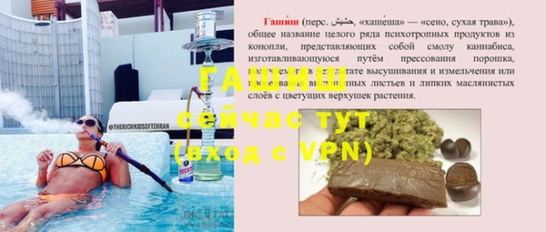 хмурый Алексин