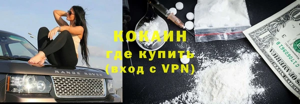 стаф Алзамай