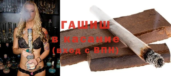 хмурый Алексин