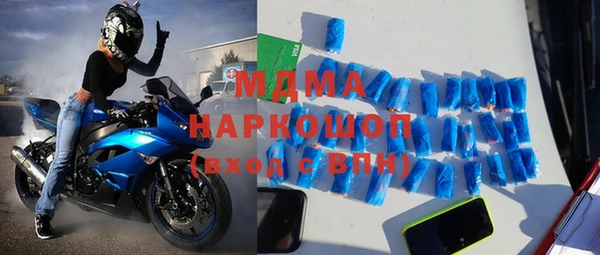 стаф Алзамай