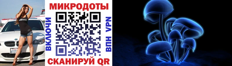 где найти наркотики  Унеча  Псилоцибиновые грибы Psilocybine cubensis 